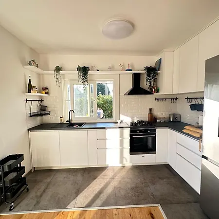 House Pavicic